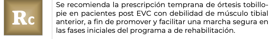 4. Comunicación y material ortopédico 7 - GPC-DIF-331-21
